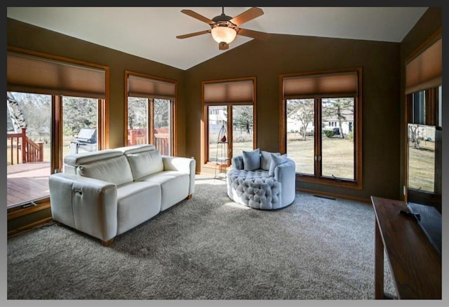 carpeted living room featuring visible vents, a ceiling fan, and lofted ceiling