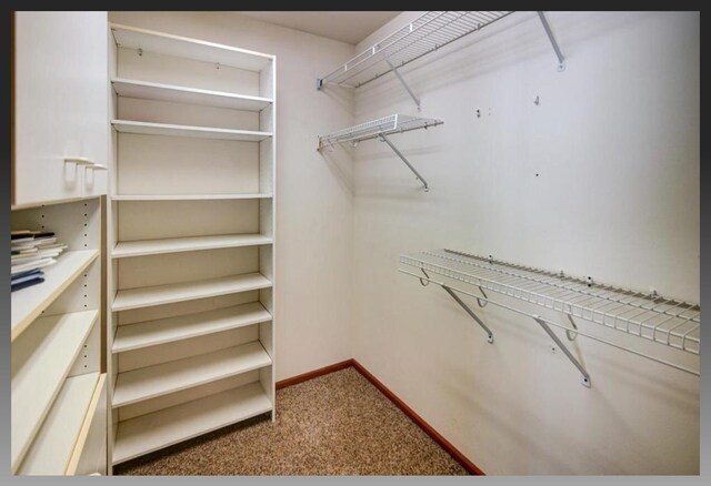 walk in closet with carpet