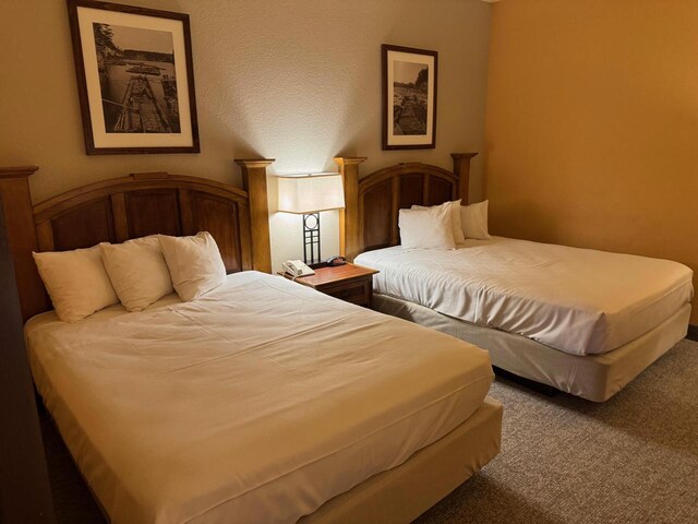 bedroom featuring carpet floors