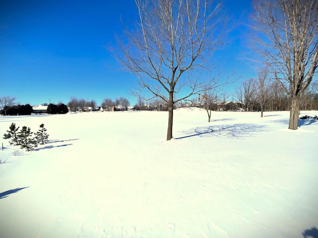 view of yard covered in snow