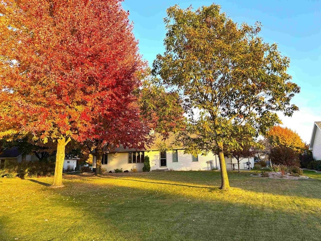 view of front of home featuring a front lawn