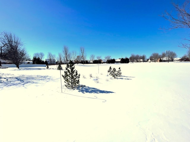 view of snowy yard