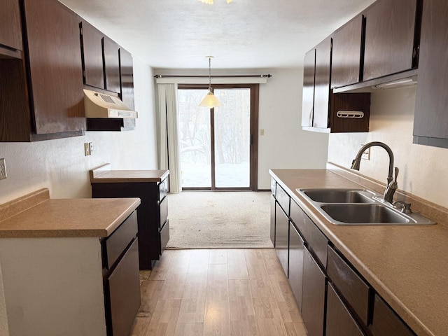 kitchen featuring light wood-style floors, decorative light fixtures, dark brown cabinets, under cabinet range hood, and a sink