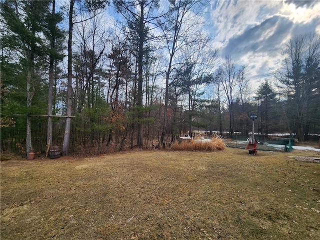 600 S Hayden St, Merrillan, WI 54754 - view of yard