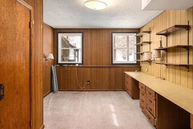 4191 Aspen Ln, La Crescent, MN 55947 - unfurnished office featuring light carpet, wooden walls, and a textured ceiling