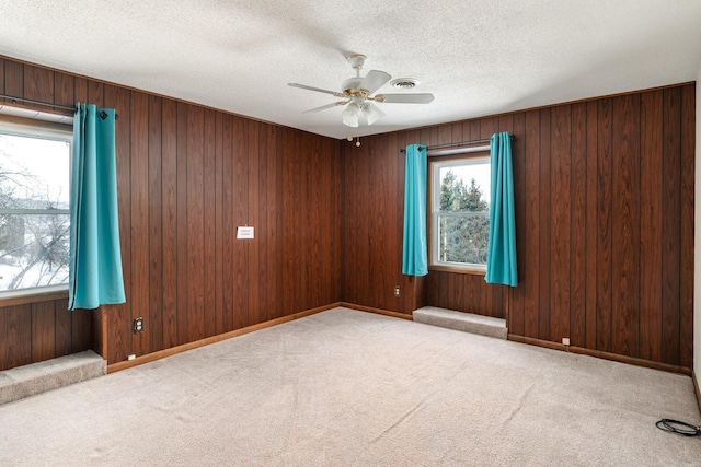 4191 Aspen Ln, La Crescent, MN 55947 - spare room with plenty of natural light, a textured ceiling, and light colored carpet