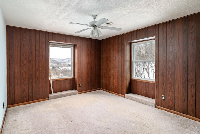 4191 Aspen Ln, La Crescent, MN 55947 - empty room featuring a ceiling fan, light carpet, wood walls, and a textured ceiling