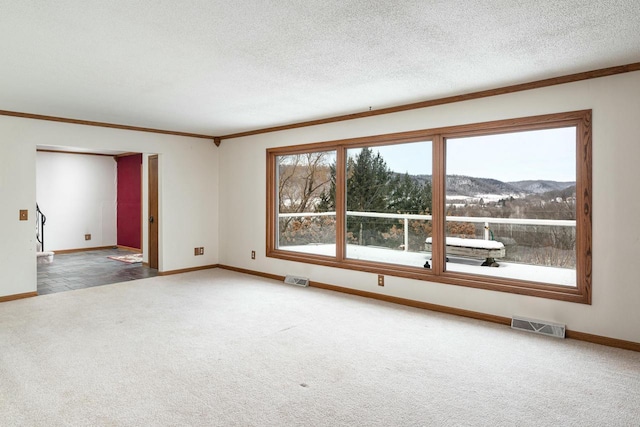 4191 Aspen Ln, La Crescent, MN 55947 - spare room with baseboards, visible vents, a textured ceiling, carpet floors, and a mountain view