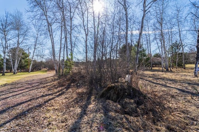 2305 Beecher Ave, Wausau, WI 54401