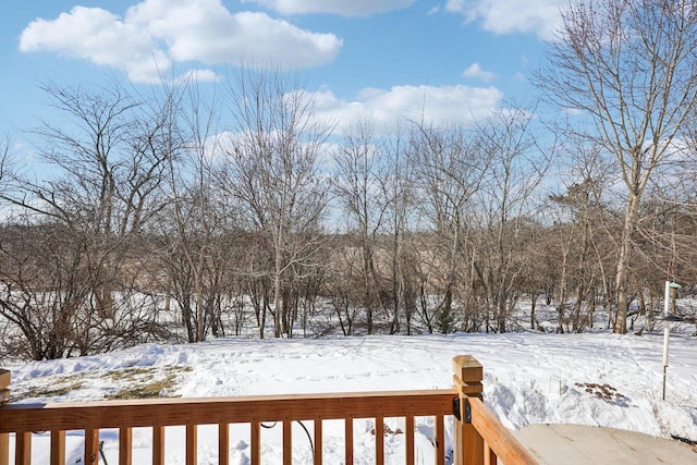 view of yard layered in snow