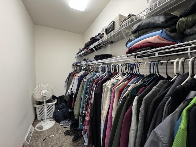 spacious closet with carpet