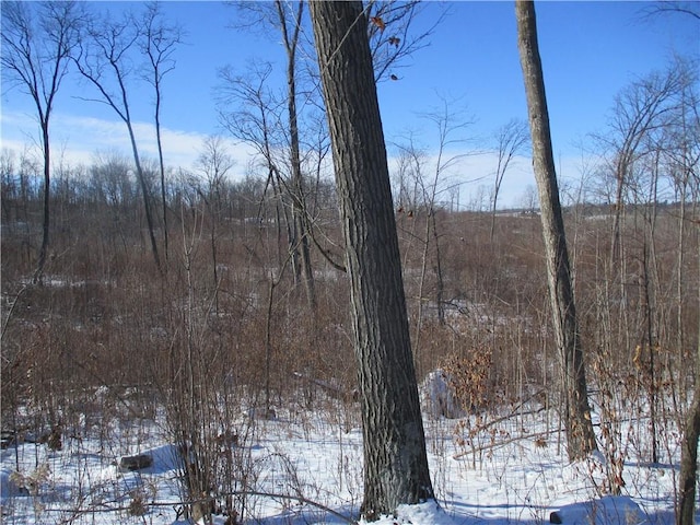 XXX 18th St, Chetek WI, 54728 land for sale