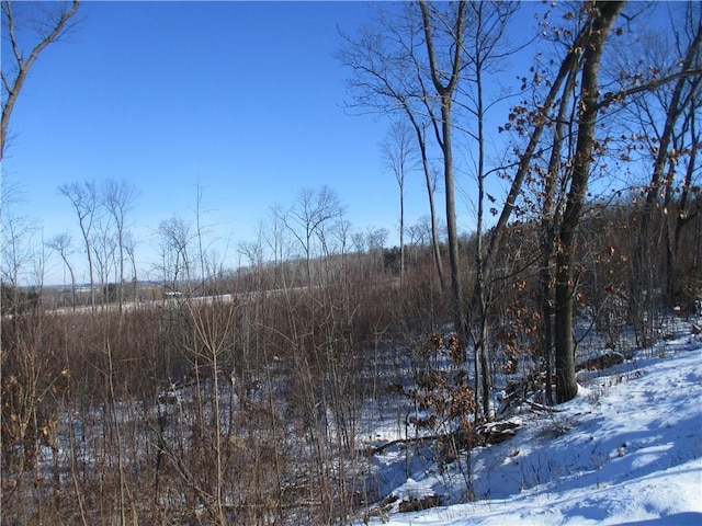 Listing photo 3 for XXX 18th St, Chetek WI 54728