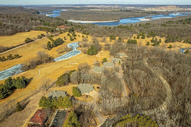 bird's eye view featuring a water view and a forest view