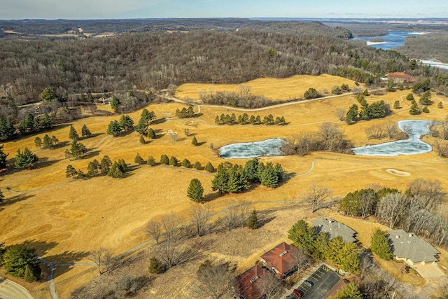 drone / aerial view with a forest view