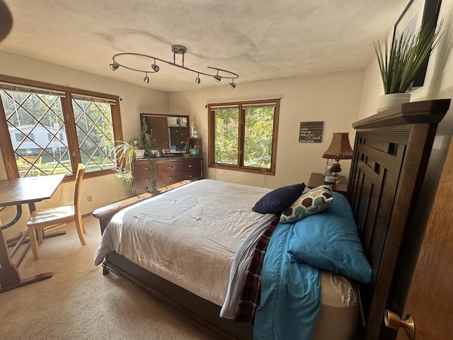 bedroom featuring carpet flooring