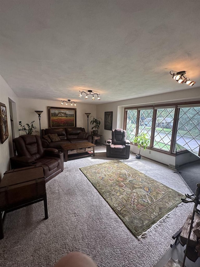 carpeted living area with a textured ceiling and track lighting