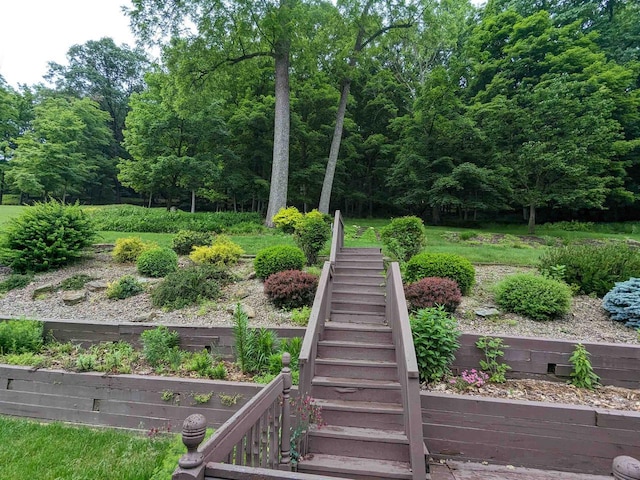 view of yard with a garden