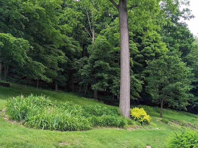 view of yard featuring a view of trees