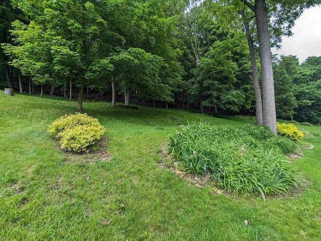 view of yard with a wooded view