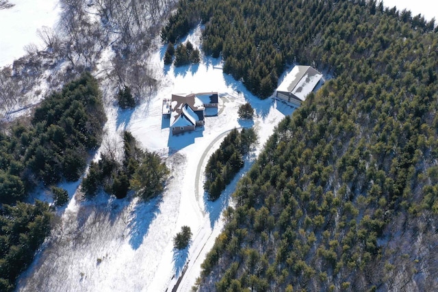 N5194 Blue Valley Rd, Hartford, WI 53027 - view of subject property featuring a forest