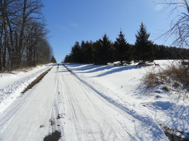 N5194 Blue Valley Rd, Hartford, WI 53027 - view of dirt / gravel road