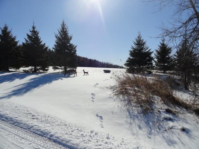 N5194 Blue Valley Rd, Hartford, WI 53027 - view of yard covered in snow