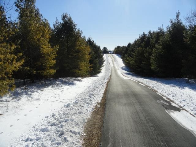 N5194 Blue Valley Rd, Hartford, WI 53027 - view of asphalt street