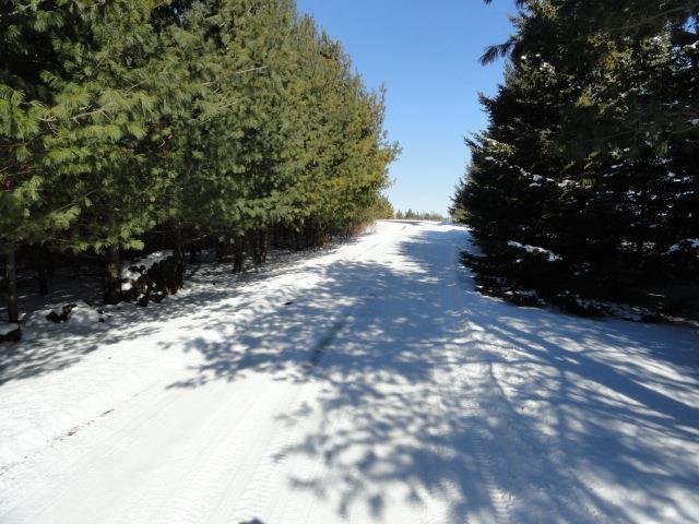 N5194 Blue Valley Rd, Hartford, WI 53027 - view of street