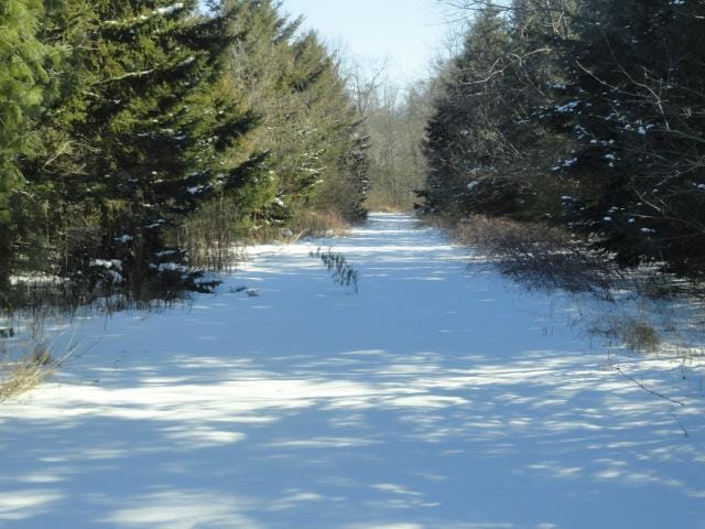 N5194 Blue Valley Rd, Hartford, WI 53027 - view of road