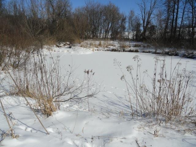 N5194 Blue Valley Rd, Hartford, WI 53027 - view of snowy yard