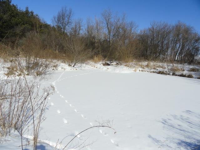 N5194 Blue Valley Rd, Hartford, WI 53027 - view of yard layered in snow