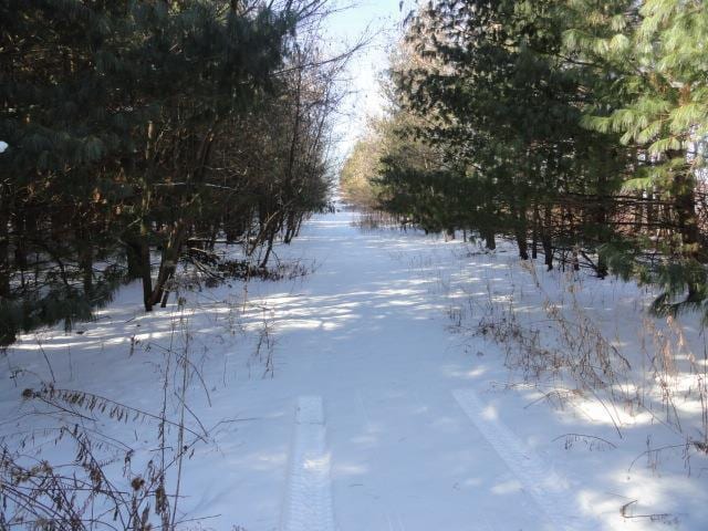 N5194 Blue Valley Rd, Hartford, WI 53027 - view of snowy yard