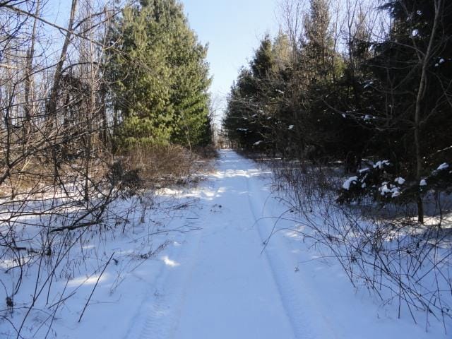 N5194 Blue Valley Rd, Hartford, WI 53027 - view of yard covered in snow