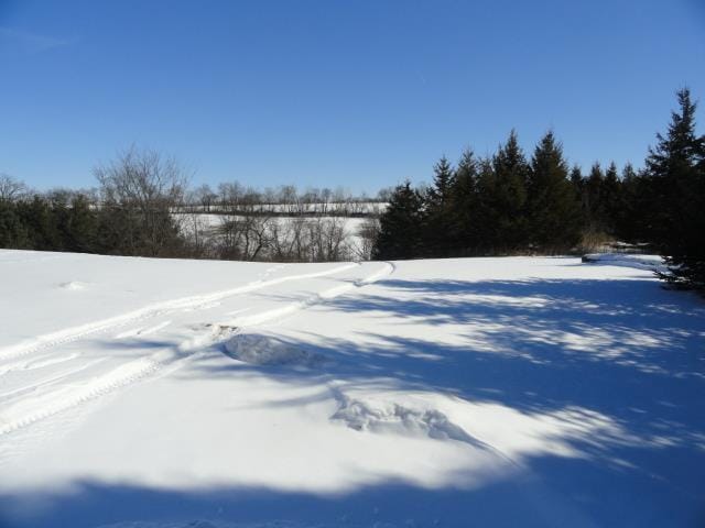 N5194 Blue Valley Rd, Hartford, WI 53027 - view of snowy yard