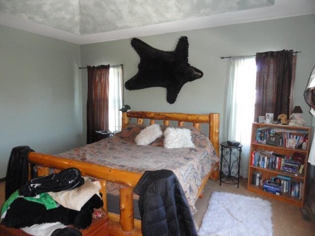 N5194 Blue Valley Rd, Hartford, WI 53027 - view of carpeted bedroom