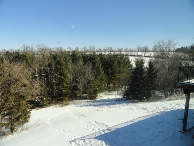 N5194 Blue Valley Rd, Hartford, WI 53027 - view of snowy yard