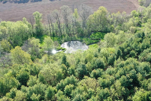 N5194 Blue Valley Rd, Hartford, WI 53027 - drone / aerial view
