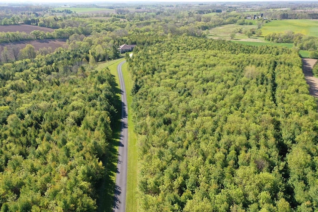 N5194 Blue Valley Rd, Hartford, WI 53027 - bird's eye view of a heavily wooded area