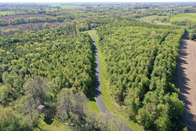N5194 Blue Valley Rd, Hartford, WI 53027 - view of property location featuring a heavily wooded area