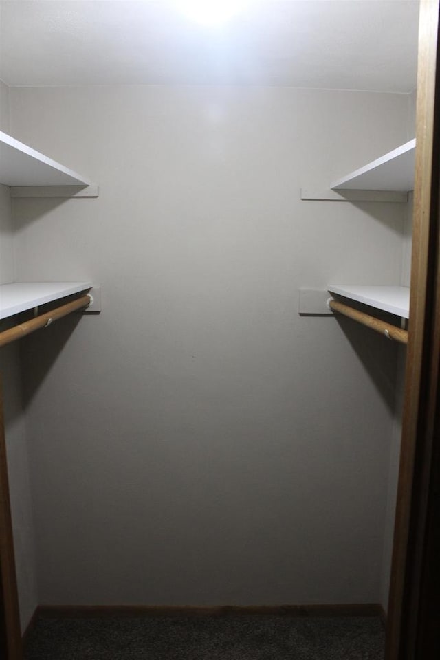 walk in closet with dark colored carpet