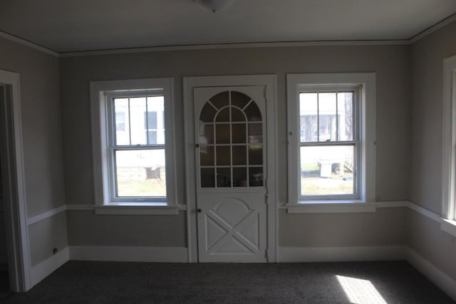 interior space with dark carpet, ornamental molding, and plenty of natural light