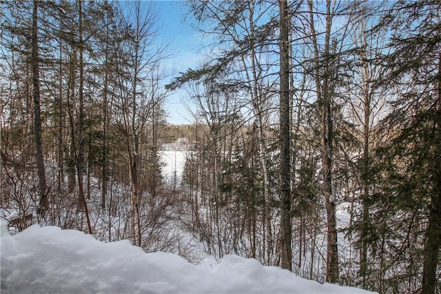 6306W Hunter Lake Rd, Winter, WI 54896 - exterior space