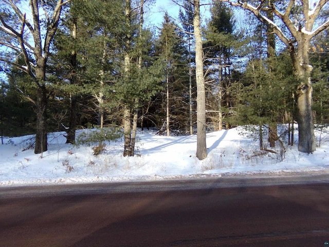 Listing photo 2 for TBD S County Rd F, Lake Nebagamon WI 54849