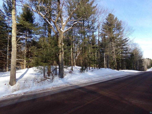 Listing photo 3 for TBD S County Rd F, Lake Nebagamon WI 54849