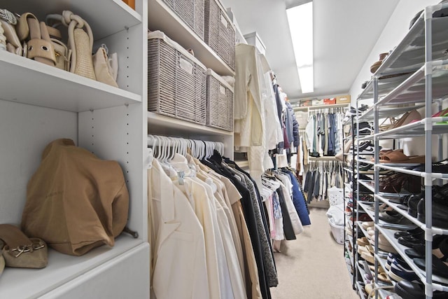 spacious closet with carpet floors