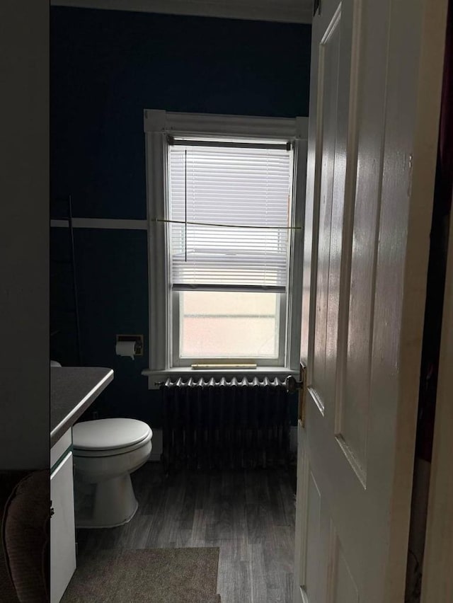 bathroom featuring toilet, wood finished floors, and vanity