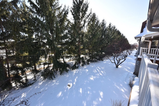 view of yard layered in snow