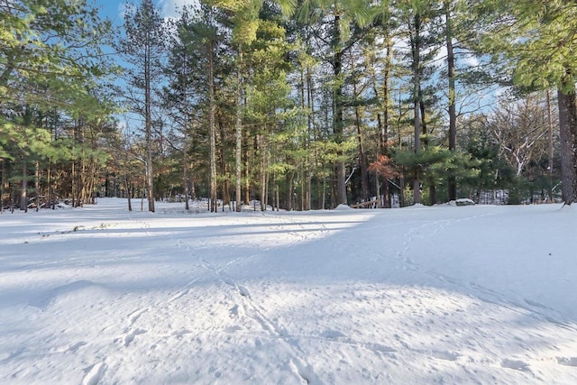 view of snowy yard