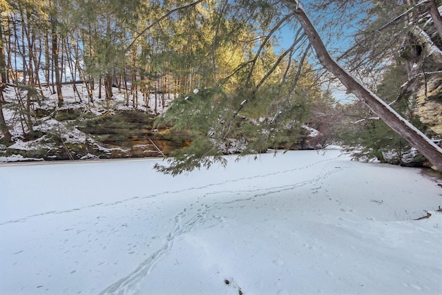 view of snowy yard